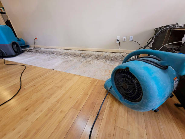 Professional Basement Flood Cleanup technician working in Princeton, IN